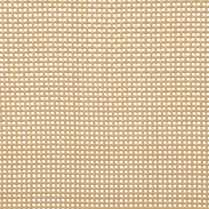 Amherst - Radio Weave Rattan Metal Queen Bed - Black Panel Bed modern furniture Contempo Furniture