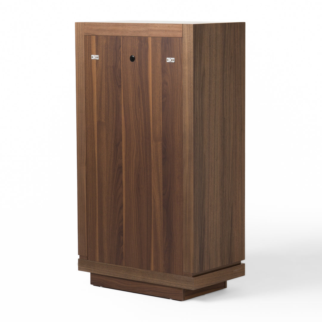 Bailey- Modern Walnut Chest