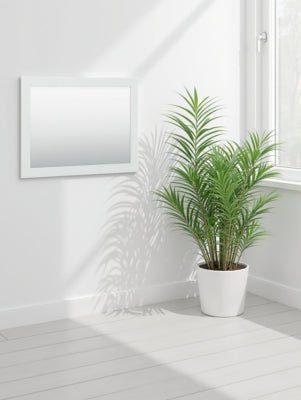 Bostwick Shoals Bedroom Mirror - White Mirror modern furniture Contempo Furniture
