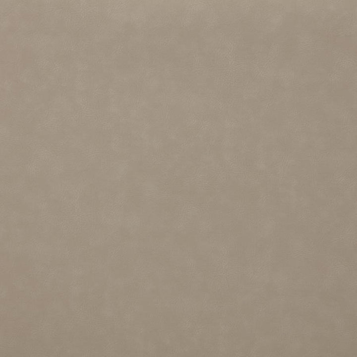 Brentwood - Upholstered Motion Reclining Loveseat - Taupe Reclining Loveseat modern furniture Contempo Furniture