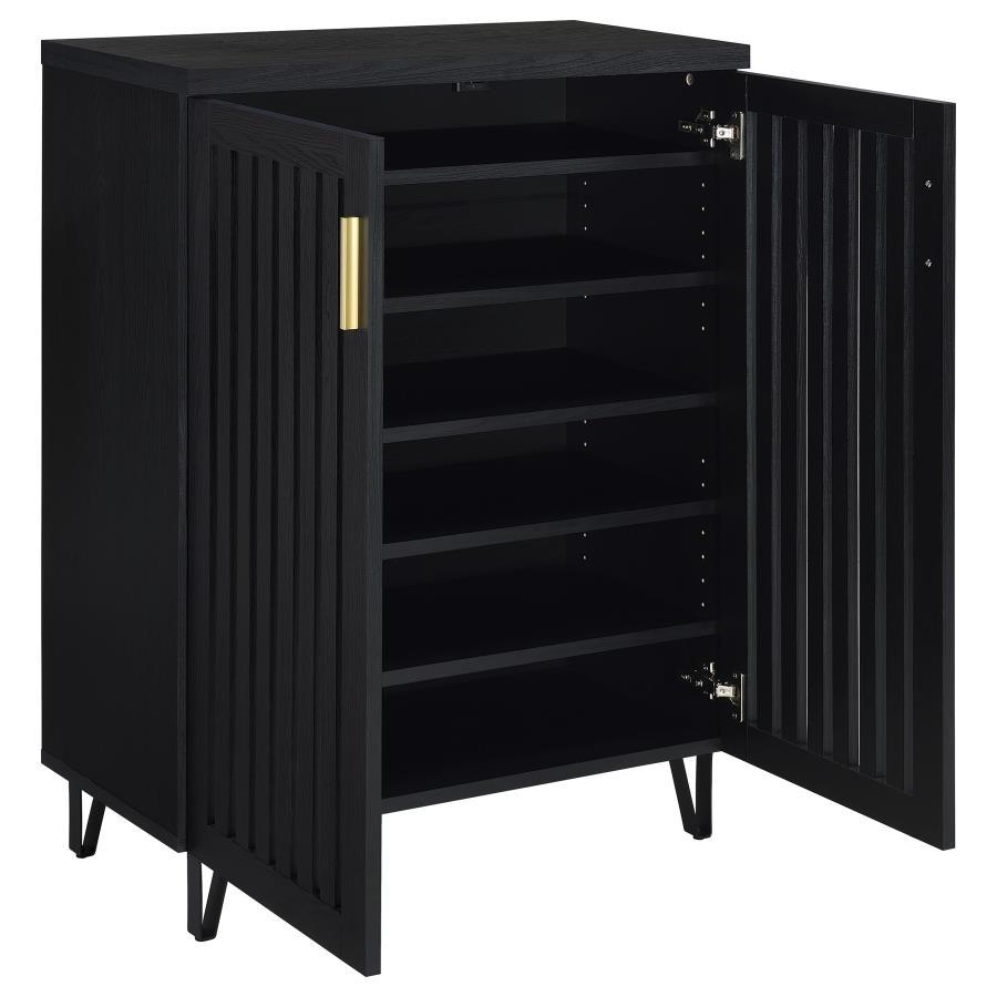Brixton - 2 - Door Entryway Shoe Storage Cabinets - Black Accent Cabinet modern furniture Contempo Furniture