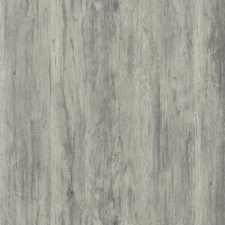 Burke - 2 Door Engineered Wood TV Stand - Gray Driftwood TV Stand modern furniture Contempo Furniture