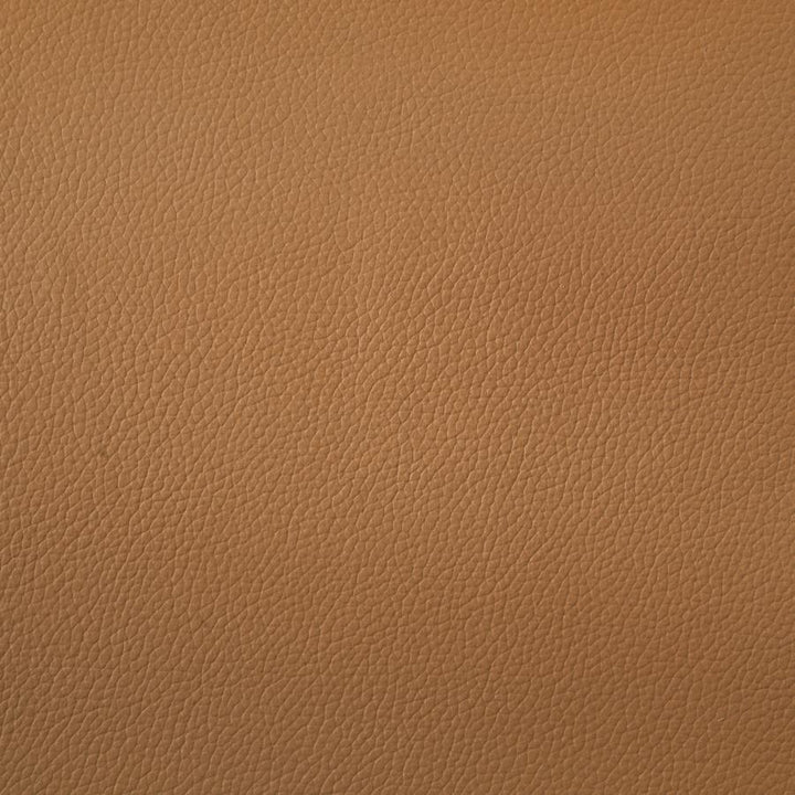 Buxton - Top Grain Leather Upholstered Loveseat - Orange Stationary Loveseat modern furniture Contempo Furniture
