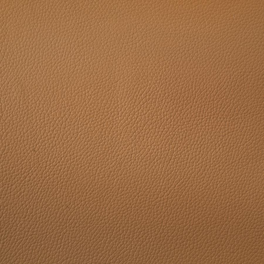 Buxton - Top Grain Leather Upholstered Sofa - Orange Stationary Sofa modern furniture Contempo Furniture