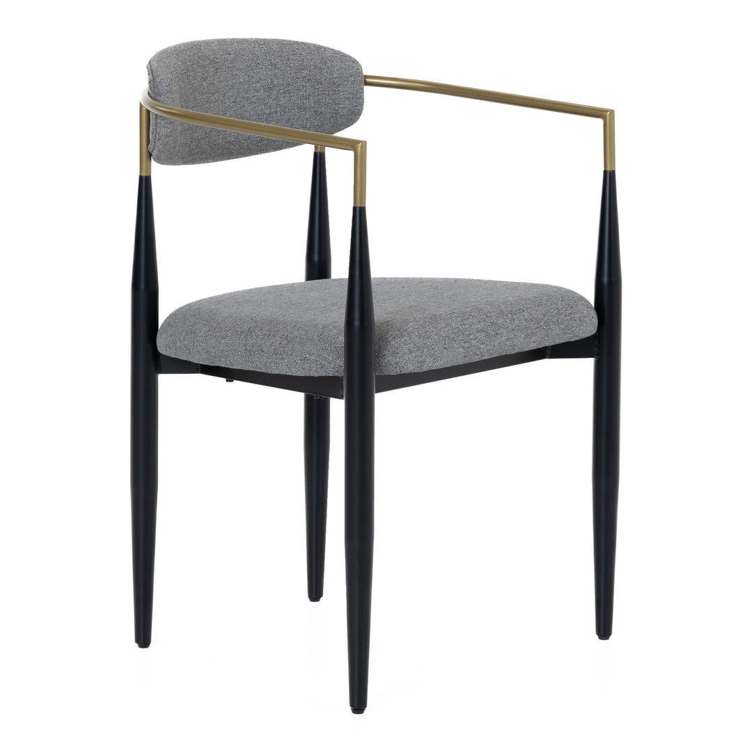 Buchtel - Mid-Century Modern Fabric Dining Chair