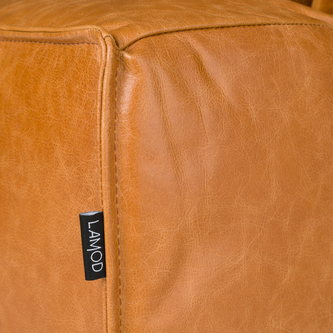 Cambria  Modern Cognac Leather Sofa