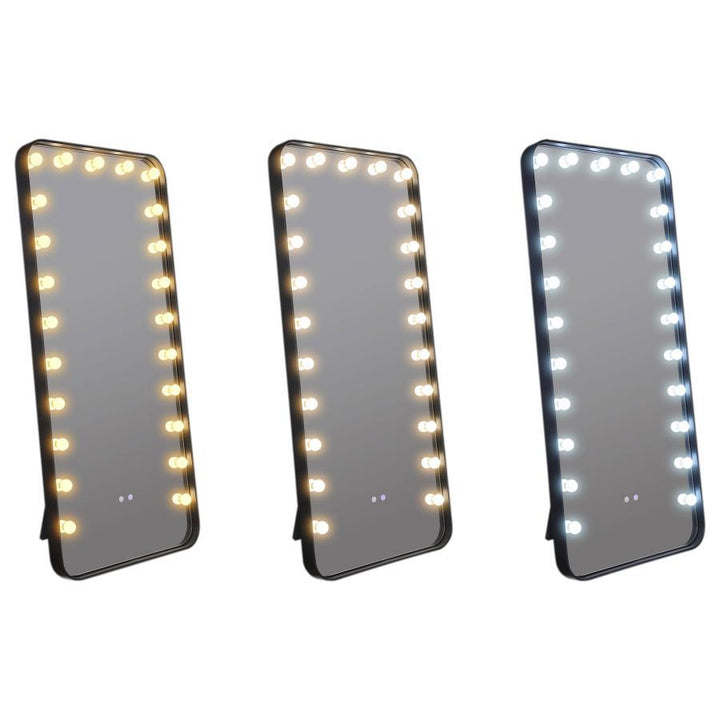 Canton - LED Standing Mirror With Speakers - Black Floor Mirror modern furniture Contempo Furniture
