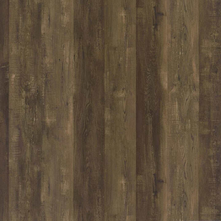 Carolyn - 2 Door Engineered Wood Accent Cabinet - Rustic Oak Accent Cabinet modern furniture Contempo Furniture