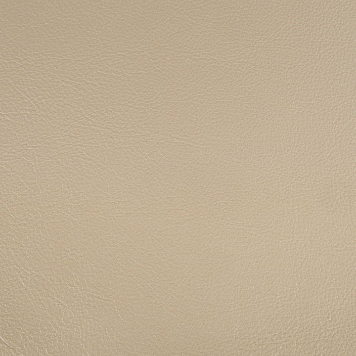 Danae - Side Chair Set of 2) - Synthetic Leather , Champagne & Gold