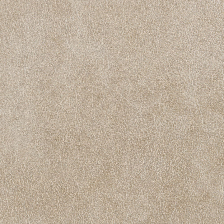 Elison - Motion Loveseat With Console - Dark Beige Polish Microfiber