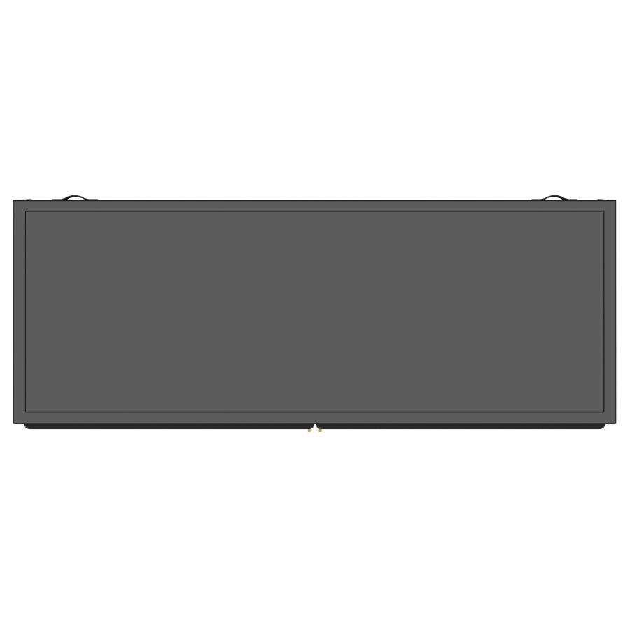 Dalia - 2 Door Accent Storage Cabinet With Shelving - Black Accent Cabinet modern furniture Contempo Furniture