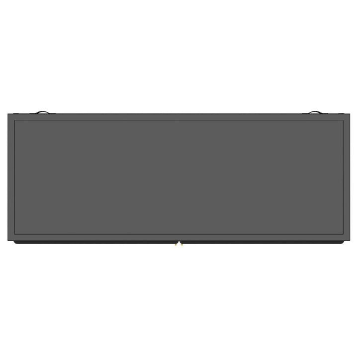 Dalia - 2 Door Accent Storage Cabinet With Shelving - Black Accent Cabinet modern furniture Contempo Furniture