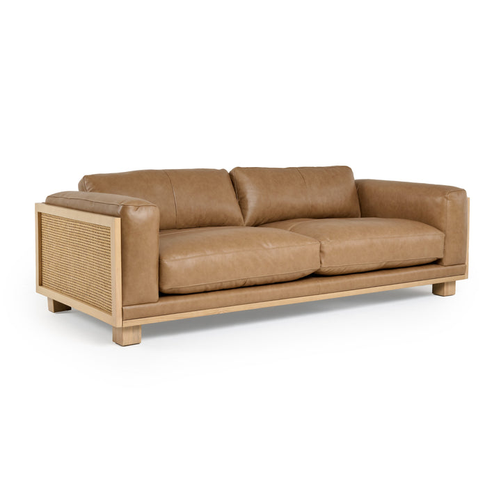 Danson  Modern Tan Leather + Wicker Sofa