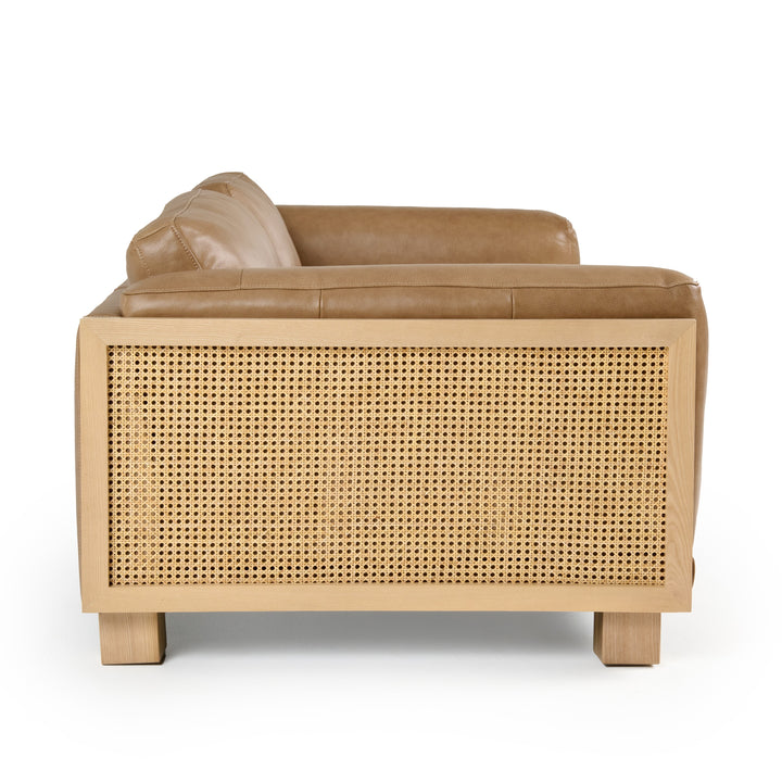 Danson - Modern Tan Leather  Wicker Sofa