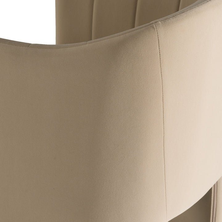 Danube  Modern Beige Fabric Dining Chair