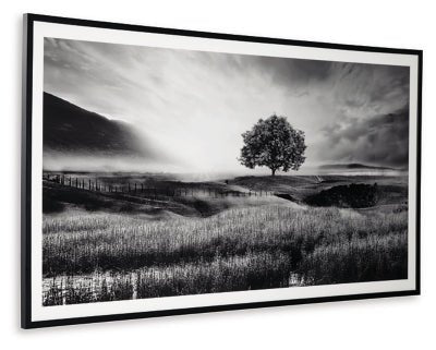 Deborland Wall Art - Black Framed Prints modern furniture Contempo Furniture