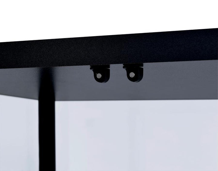 Delphinium - 5 - Shelf Clear Glass Curio Display Cabinet - Black Curio Cabinet modern furniture Contempo Furniture