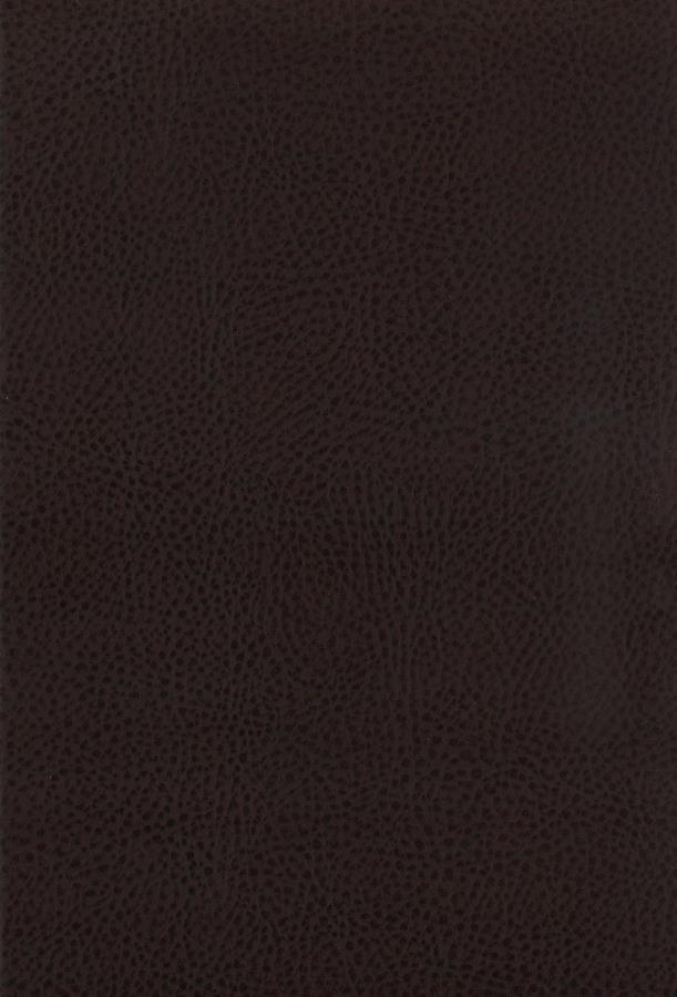 Dewey - Upholstered Counter Chair (Set of 2) - Walnut Stool Set modern furniture Contempo Furniture