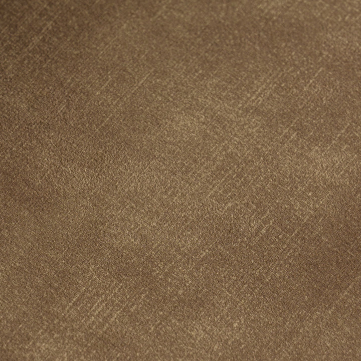 Ditka - Modern Camel Velvet Dining Chair (Set of 2)
