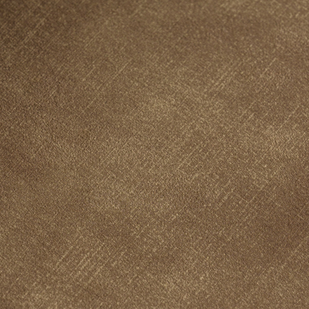 Ditka - Modern Camel Velvet Dining Chair (Set of 2) - View 18
