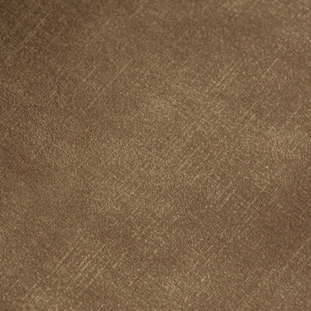Ditka - Modern Camel Velvet Dining Chair (Set of 2)