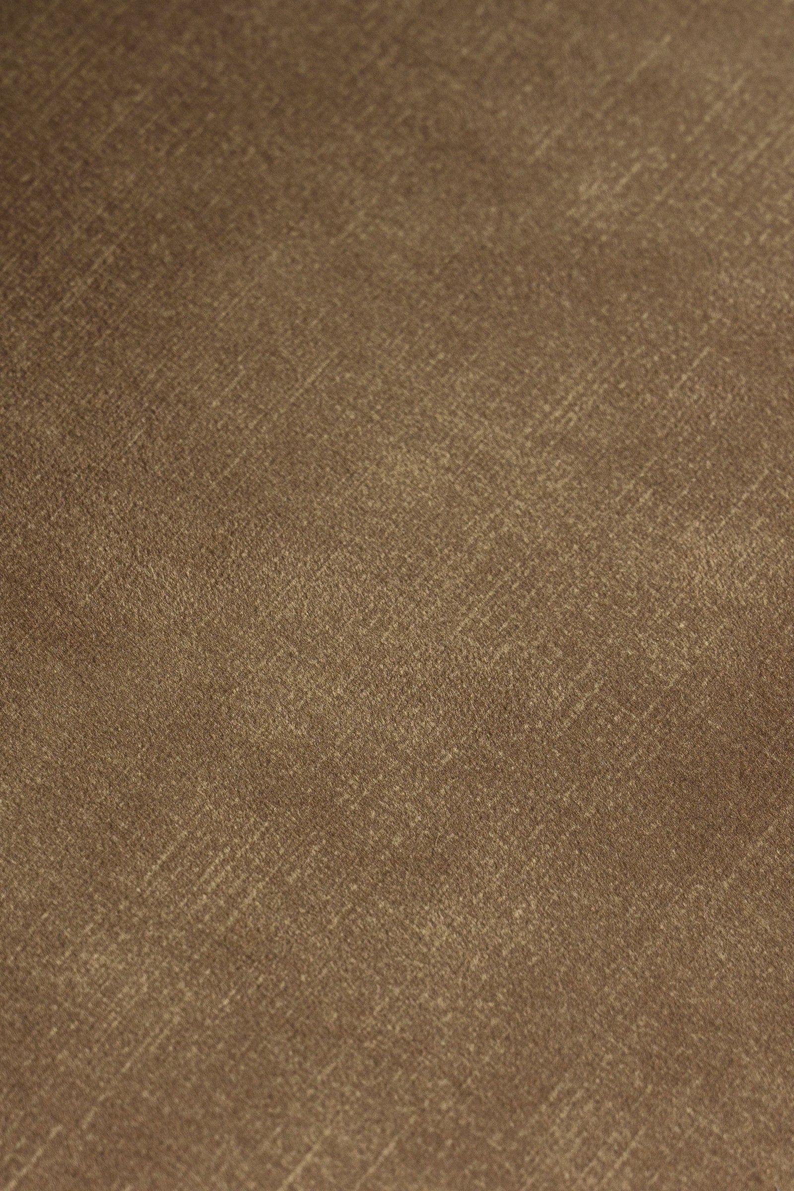 Ditka - Modern Camel Velvet Dining Chair 