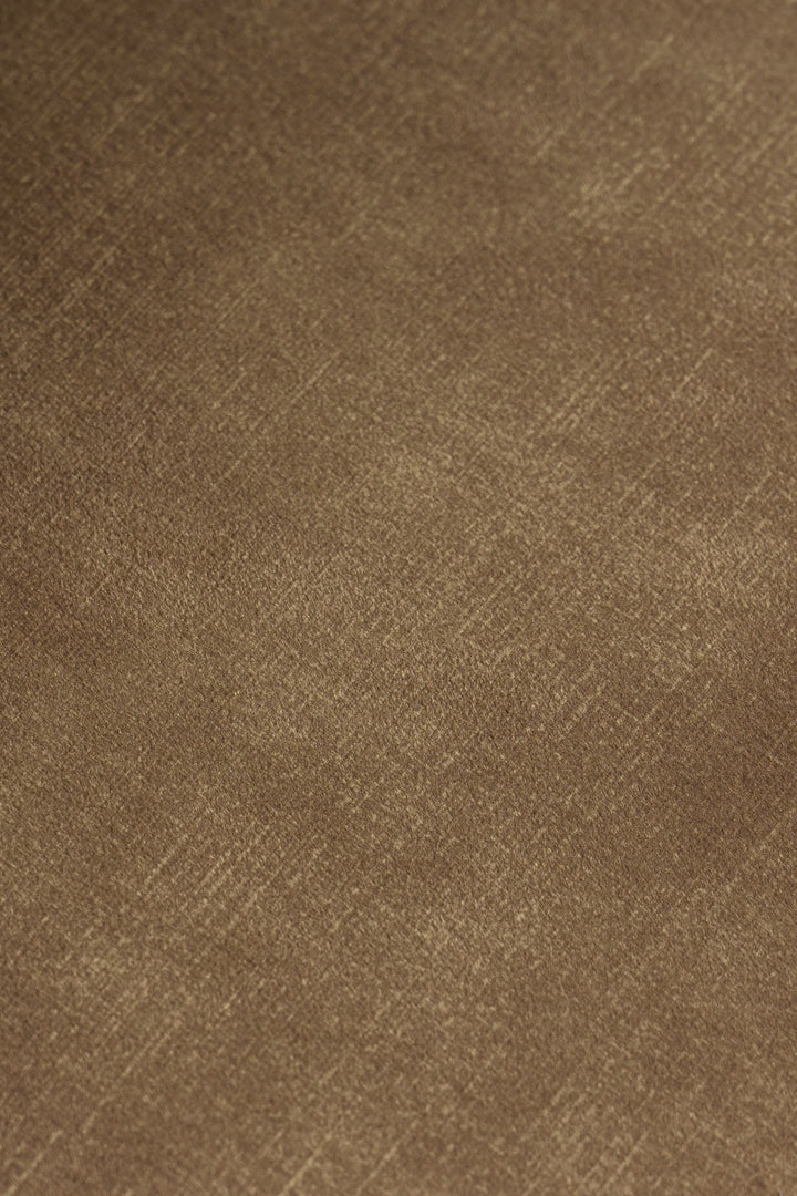 Ditka - Modern Camel Velvet Dining Chair (Set of 2)