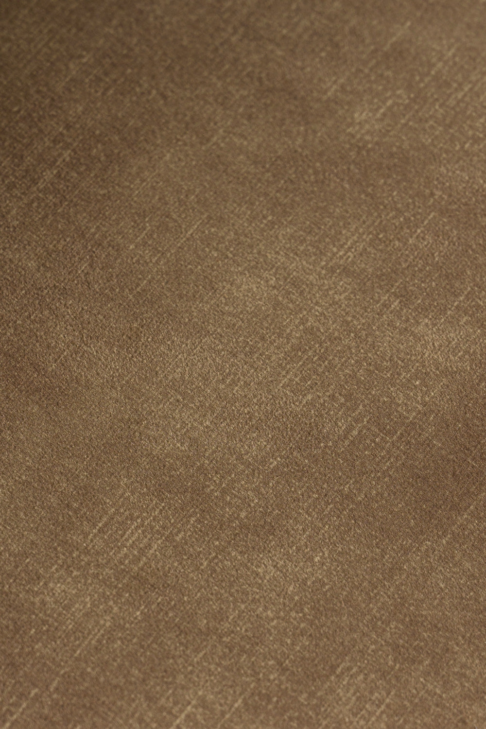 Ditka - Modern Camel Velvet Dining Chair (Set of 2) - View 3