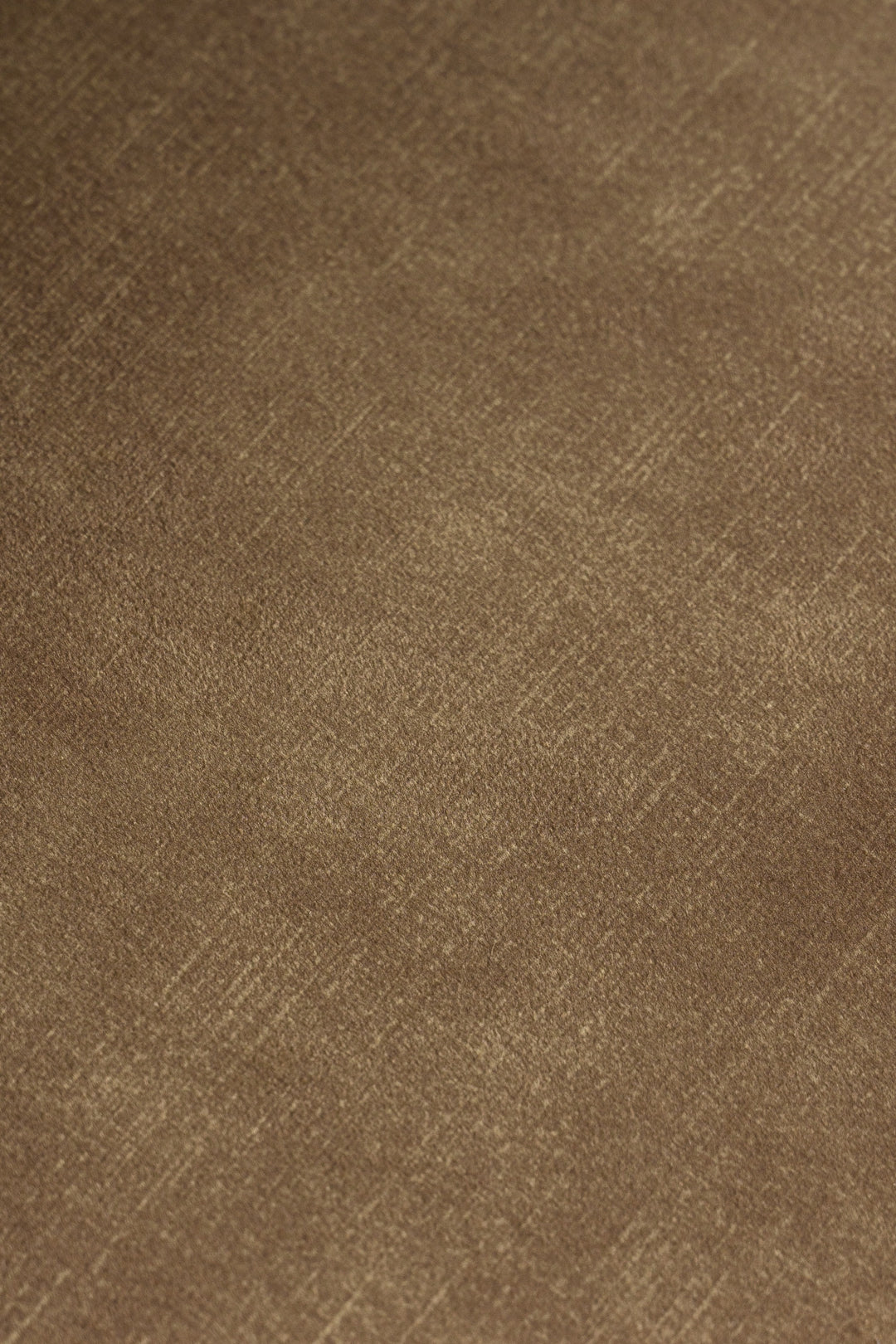 Ditka - Modern Camel Velvet Dining Chair (Set of 2)