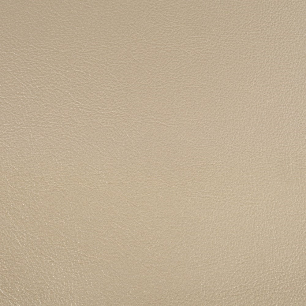 Danae Arm Chair (Set of 2)