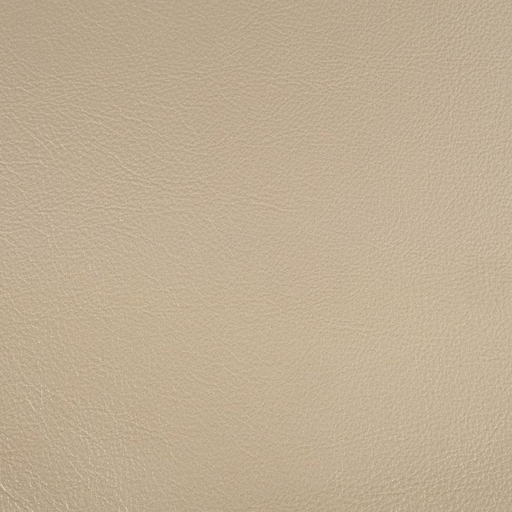 Danae Arm Chair (Set of 2)