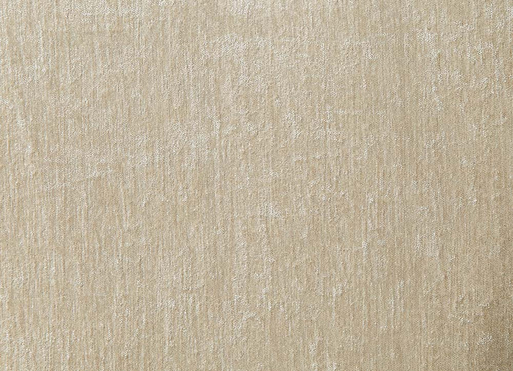 Latisha Side Chair (Set of 2)