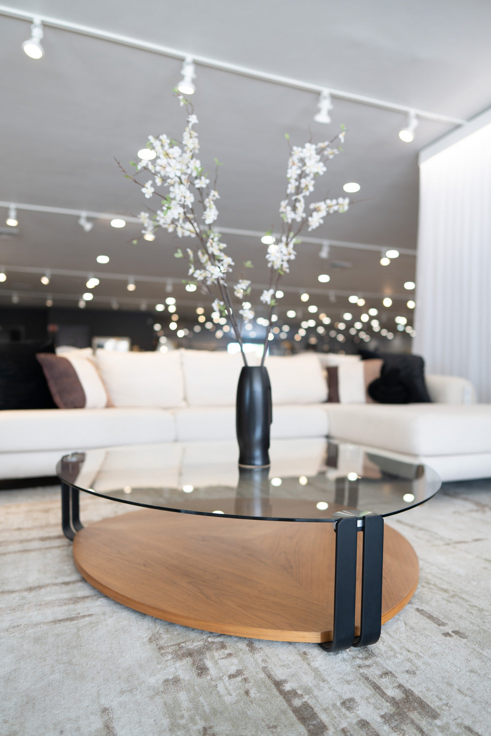 Viviana - Modern Coffee Table - View 3
