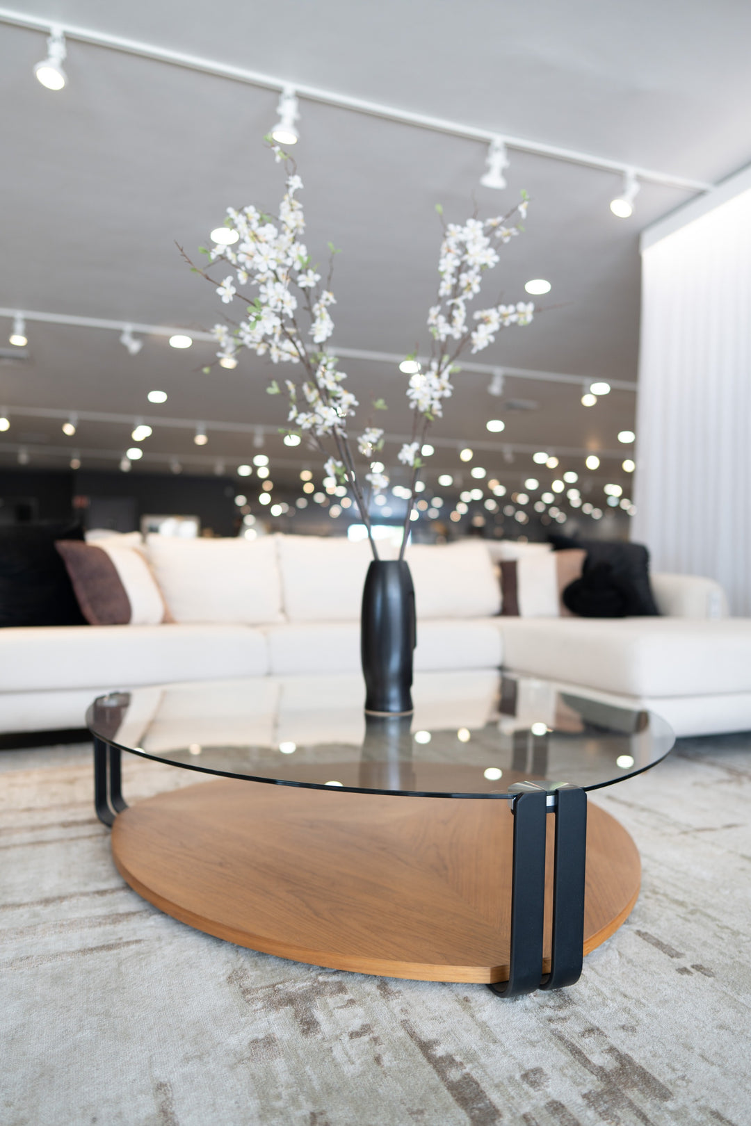 Viviana - Modern Coffee Table