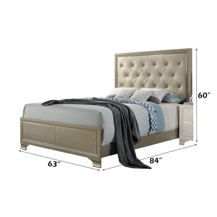 Carine - Queen Bed - Synthetic Leather & Champagne
