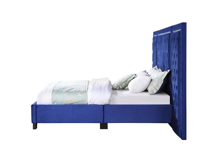 Damazy - Queen Bed - Blue Velvet