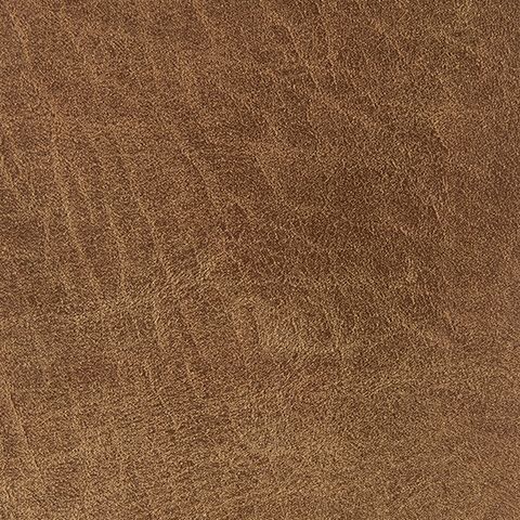 Cortnie - Pillow - Caramel