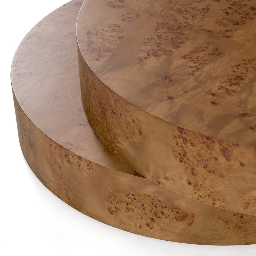 Ely - Modern Faux Burl Coffee Table