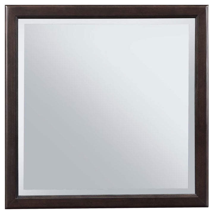 Emberlyn - Dresser Mirror - Brown Mirror modern furniture Contempo Furniture