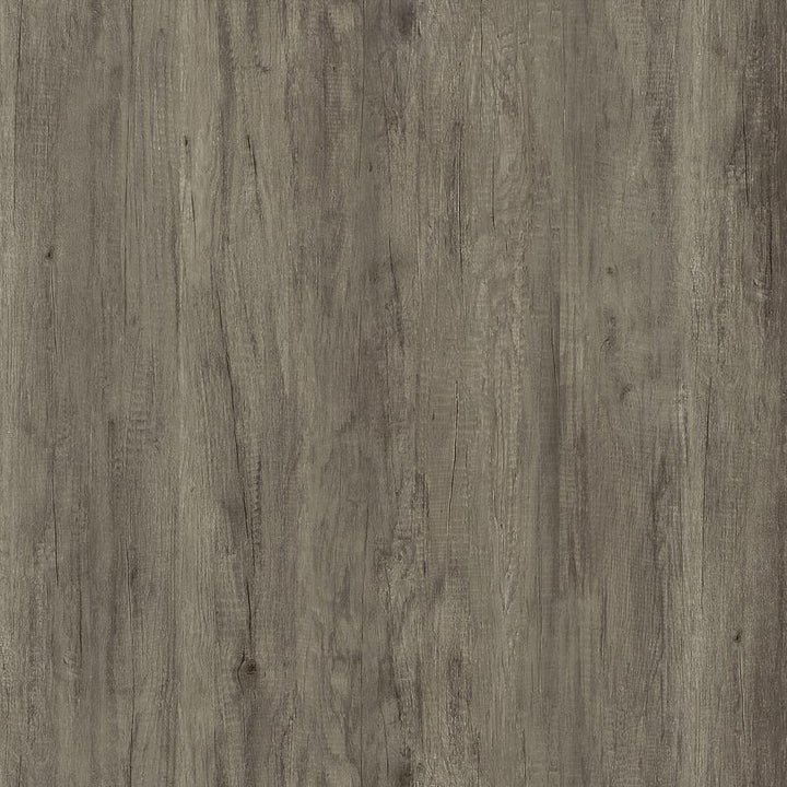 Emelle - 4 - Shelf Glass Panel Bookshelf - Gray Driftwood Standard Bookcase modern furniture Contempo Furniture