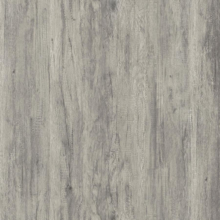 Enoch - 2 Door Engineered Wood Accent Cabinet - Gray Driftwood Accent Cabinet modern furniture Contempo Furniture