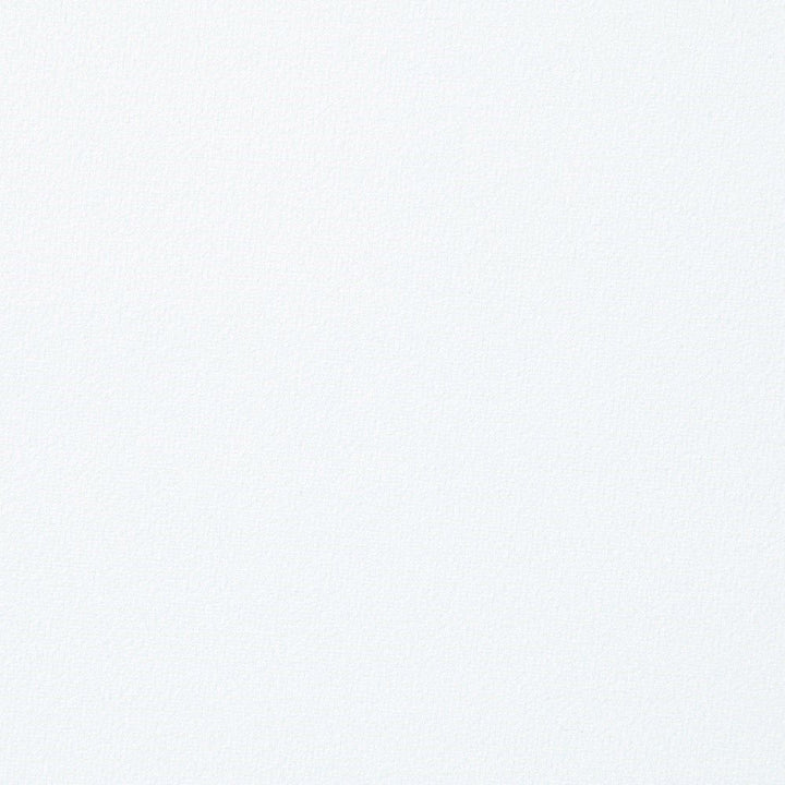 Fallon - Side Chair Set of 2) - White Velvet & Mirrored Gold