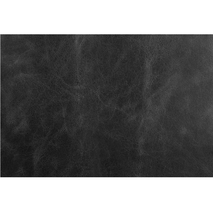 Betla - Accent Chair - Black Top Grain Leather & Aluminum