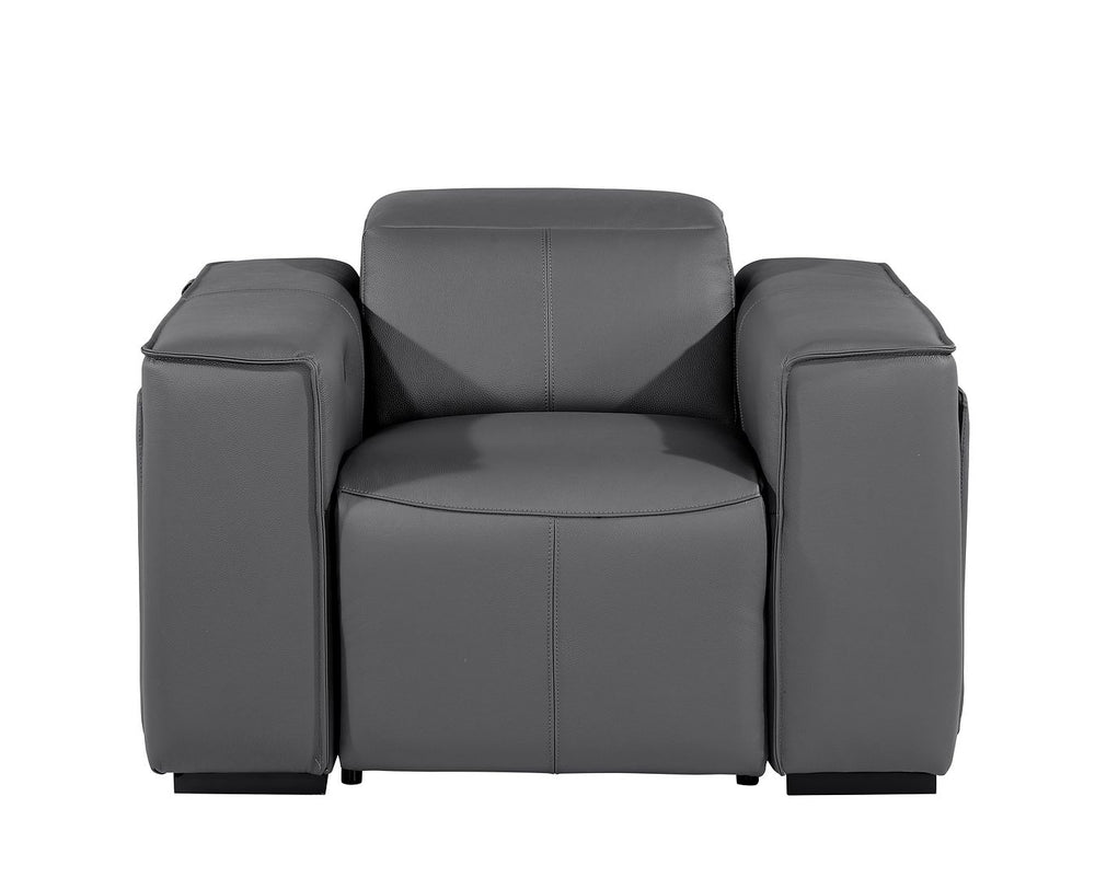 DivanItalia 1224 Top Grain Italian Leather Power Reclining Chair with Power Headrests - Dark Gray