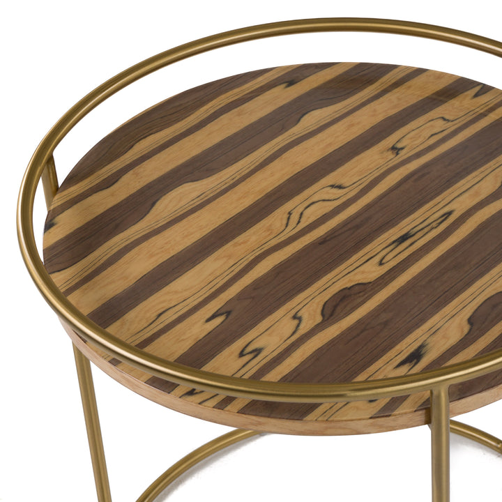 Gilcrest - Glam Brown and Gold Marble End Table