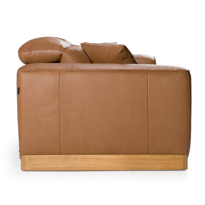 Hagerty  Modern Brown Leather Sofa with 2 Power Recliners