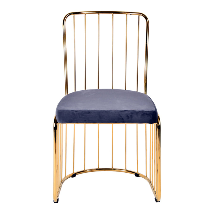 Holly Modern Grey Fabric Dining Chair (Set of 2)
