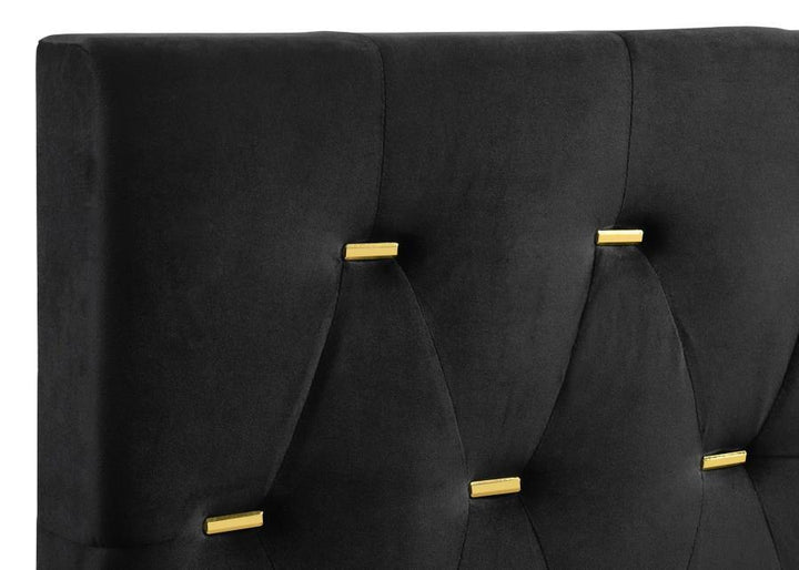 Kendall - Upholstered King Panel Bed - Black Upholstered Bed modern furniture Contempo Furniture