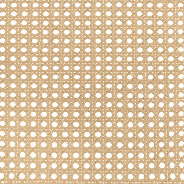 Lanewood - Open Cane Rattan Metal Queen Bed - Black Upholstered Bed modern furniture Contempo Furniture