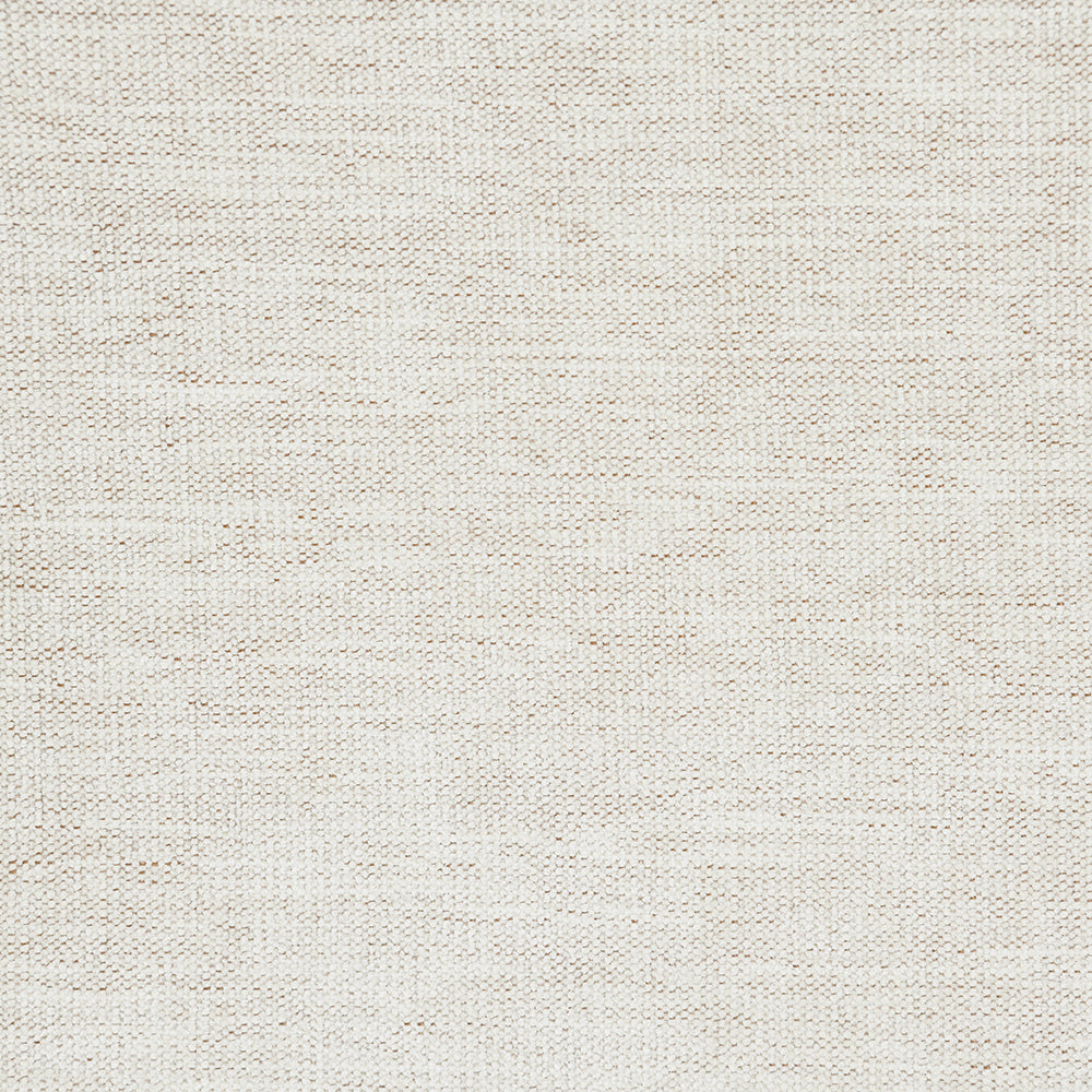 Shane Loveseat with 2 Pillows